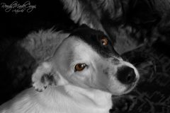 DSC0028_WM