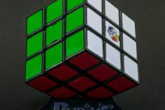 DSC_0448_CUT_WM